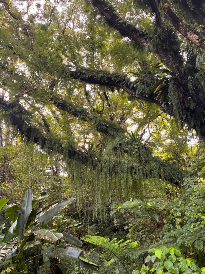 Naveria Heights Lodge Savusavu Kültér fotó