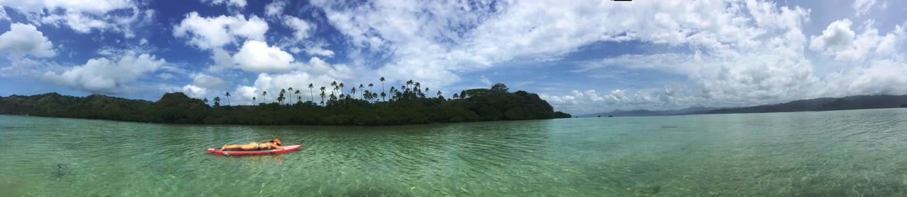 Naveria Heights Lodge Savusavu Kültér fotó