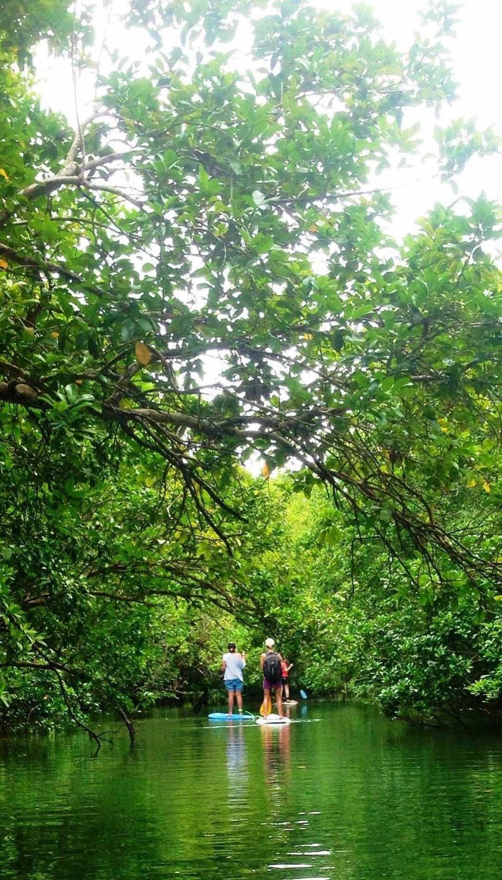 Naveria Heights Lodge Savusavu Kültér fotó